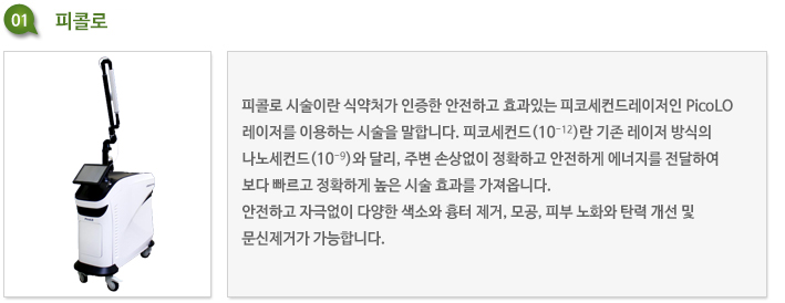 피콜로 피코세컨드 레이저 장비