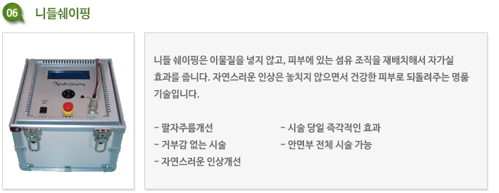 니들쉐이핑 리프팅 장비